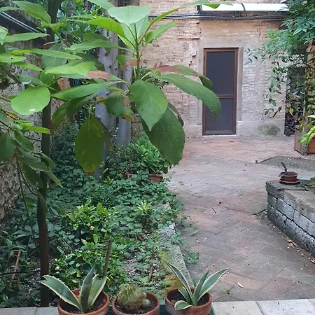 Il Picchio *